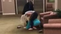 Bak Smackdown, Wanita Ini Saling Pukul Gara-gara Perkataan Rasis