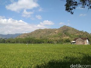 Perhutani Bentuk Satgas Damkar Antisipasi Kebakaran Hutan Trenggalek