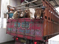 Pos Ternak Brebes Intensifkan Pemeriksaan Hewan antar Daerah