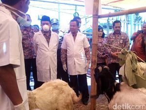 Sidak, Wali Kota Mojokerto Kaget Harga Kambing Naik Rp 1 Juta