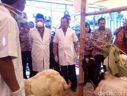Sidak, Wali Kota Mojokerto Kaget Harga Kambing Naik Rp 1 Juta