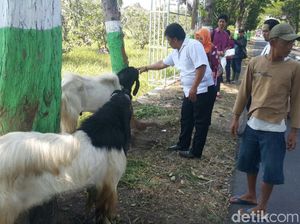 Salep Sakit Mata Dibagikan ke Pedagang Hewan Kurban di Pasuruan
