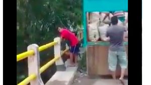Foto: Yang Viral Minggu Ini, Sudah Update Belum?