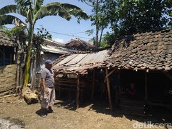 Kambing Mati jadi 70 Ekor, Warga Mulai Menjual Sisa Hewan Ternaknya