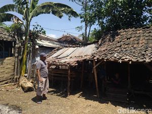Kambing Mati jadi 70 Ekor, Warga Mulai Menjual Sisa Hewan Ternaknya Kambing Mati jadi 70 Ekor, Warga Mulai Menjual Sisa Hewan Ternaknya