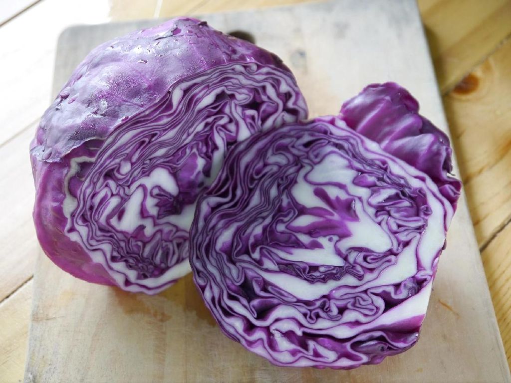5 Sayur dan Buah Berwarna Ungu dengan Beragam Manfaat Menyehatkan 5 Sayur dan Buah Berwarna Ungu dengan Beragam Manfaat Menyehatkan