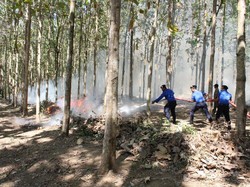 Polres Jember Gelar Simulasi Terpadu Tanggulangi Karhutla