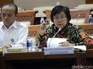 Menteri LHK dan Wamen ESDM Rapat 8 Jam Bareng DPR, Ini Hasilnya