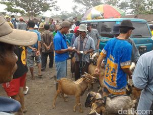 Melihat Ramainya Pasar Hewan Sunggingan Boyolali
