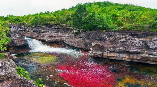 Foto: Aneh Tapi Nyata, Sungai Lima Warna