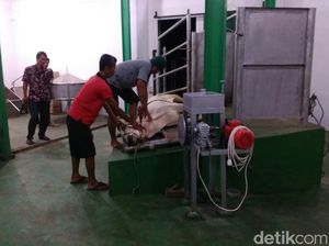 10 RPH di Kabupaten Pasuruan Gratiskan Penyembelihan Hewan Kurban