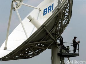 BRI Sudah Salurkan KUR Mikro Rp 2,6 Triliun BRI Sudah Salurkan KUR Mikro Rp 2,6 Triliun