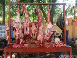 Kemenag Aceh Alihkan Daging Meugang Jatah PNS ke Anak Yatim dan Kaum Duafa