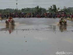 Petani Probolinggo Gelar Kerapan Sapi Brujul Jelang Musim Tanam