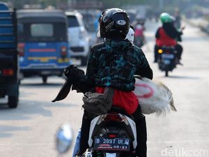 Rupa-rupa Membawa Hewan Kurban