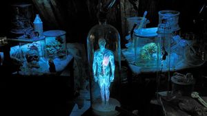 Foto: Seperti Inilah Museum Sihir