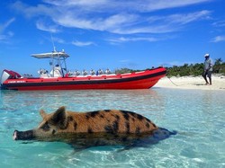Hilang Saat Makan Malam Keluarga, Turis AS Ditemukan Tewas di Pantai Bahamas