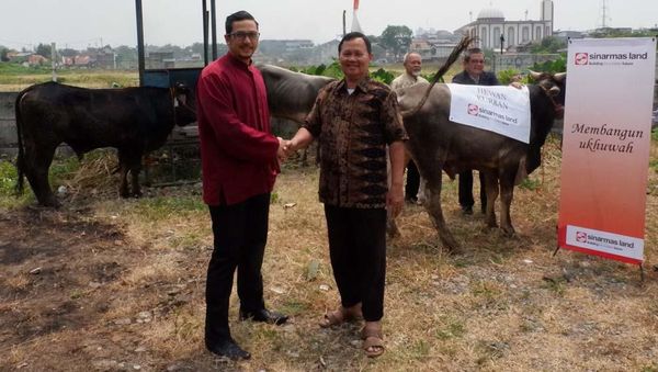 Sinar Mas Serahkan Hewan Kurban untuk Warga Roxy