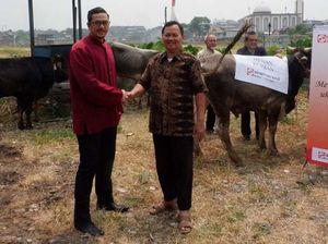 Sinar Mas Serahkan Hewan Kurban untuk Warga Roxy