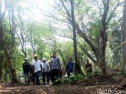 Perbanyak RTH, Pemkot Kediri akan Bangun Hutan Joyoboyo