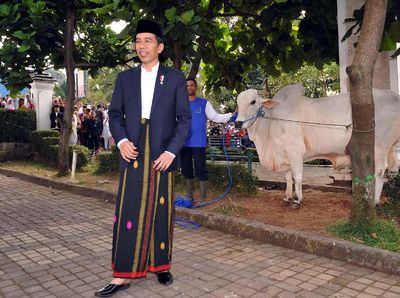 Pose Jokowi Bareng Sapi Kurban 1,2 Ton
