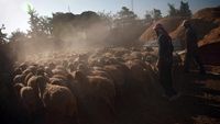 Begini Perayaan Idul Adha di Tengah Konflik Suriah