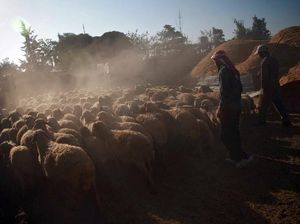 Begini Perayaan Idul Adha di Tengah Konflik Suriah