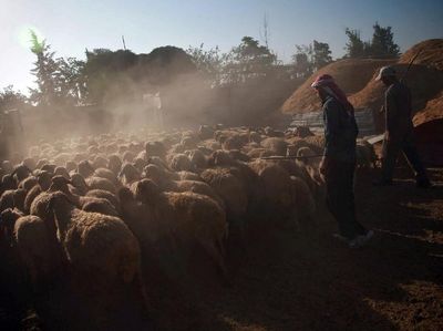 Begini Perayaan Idul Adha di Tengah Konflik Suriah