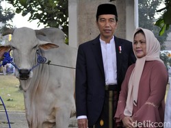 Jokowi Gelar Jambore Peternakan Perebutkan Piala Presiden