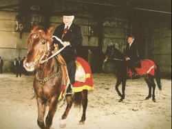 Tak Cuma Jokowi, Bung Karno dan Pak Harto Juga Pernah Diberi Kuda