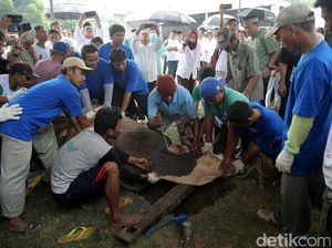 Bank Mandiri Kurban 284 Sapi dan 471 Kambing