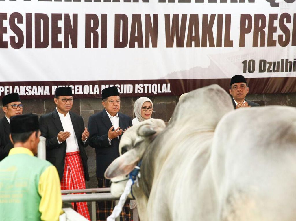 Foto: Wapres JK Serahkan Hewan Kurban di Istiqlal Foto: Wapres JK Serahkan Hewan Kurban di Istiqlal