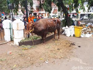 Megawati Berkurban Sapi di Masjid Cut Meutia