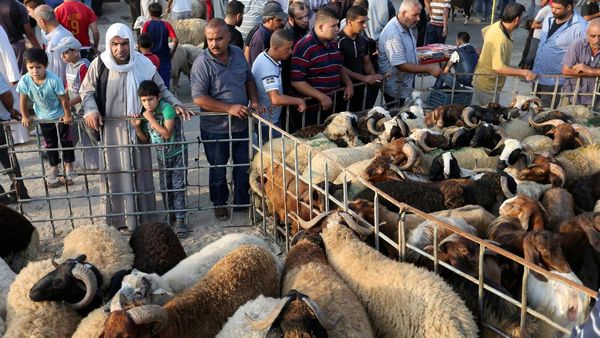 Rayakan Idul Adha, Warga Palestina Ikut Berkurban