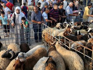 Rayakan Idul Adha, Warga Palestina Ikut Berkurban