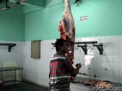 21 Hewan Kurban di Kota Yogya Terjangkit Cacing Hati