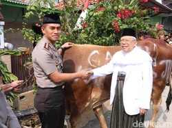 Polres Jakut Serahkan Hewan Kurban ke Ketua MUI
