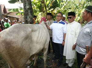 Ketua MPR: Idul Adha Momentum Tingkatkan Takwa dan Kesalehan Sosial