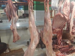 Kenapa RI Bergantung Daging Impor? Ini Kata Pengusaha