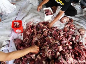 MUI Harap Seruan Anies Tak Pakai Plastik untuk Wadah Daging Kurban Dipatuhi MUI Harap Seruan Anies Tak Pakai Plastik untuk Wadah Daging Kurban Dipatuhi