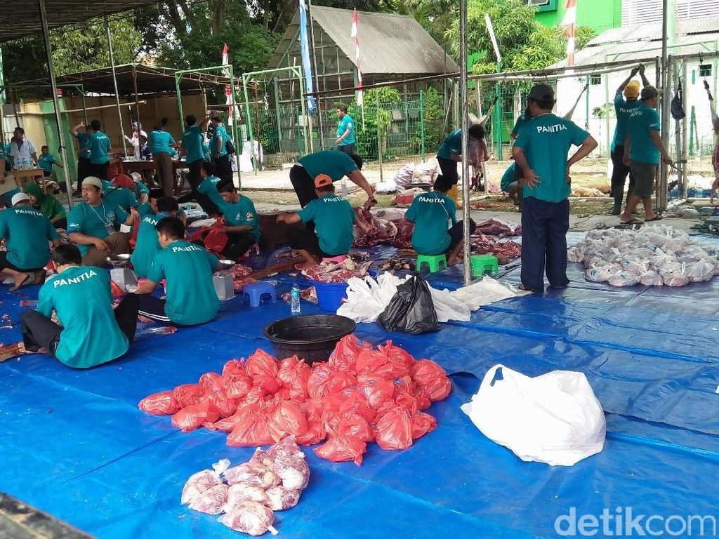 Kata Dokter Mengenai Penggunaan Plastik yang Berbahaya saat Kurban
