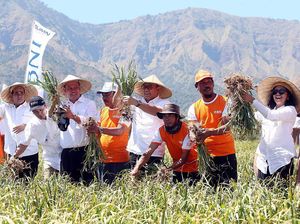 BNI Kucurkan KUR ke Petani Bawang Putih di Lombok
