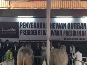 Usai Salat Id, Wapres JK Serahkan Hewan Kurban ke Masjid Istiqlal