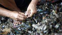Reklamasi Pulau G Berlanjut, Nelayan Cemas Lagi