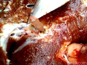 79 Ekor Hewan Kurban di Trenggalek Terkena Cacing Hati dan TB