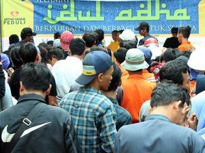 Sebar Hewan Kurban Hingga ke Pelosok Negeri