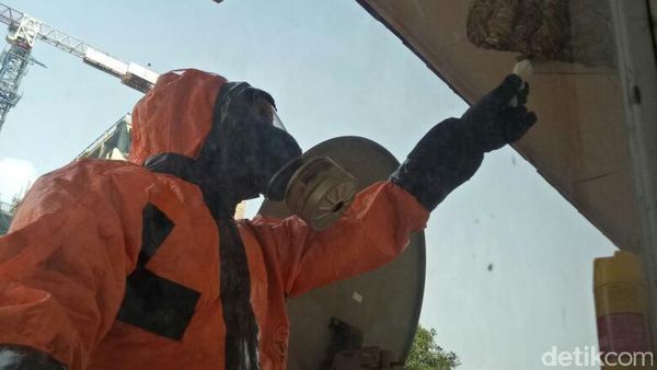 Foto: Aksi Damkar Evakuasi Sarang Tawon yang Bikin Merinding