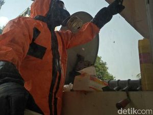 Foto: Aksi Damkar Evakuasi Sarang Tawon yang Bikin Merinding