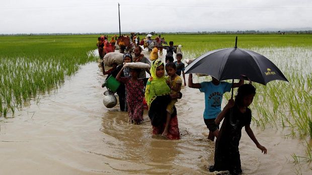 Pengungsi Rohingya terpaksa berjalan melalui sawah dan rawa untuk menyelamatkan nyawa ke Bangladesh.