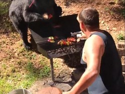 Bukan Ingin Serang Manusia, Beruang Ini Justru Ambil Sepotong Steak dari Panggangan!